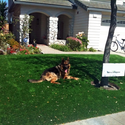 Synthetic Grass in Milton, Kansas