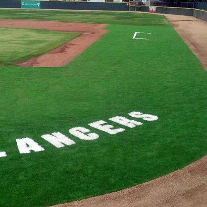 Synthetic Turf in Bushong, Kansas