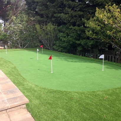 Artificial Grass in Mulberry, Kansas