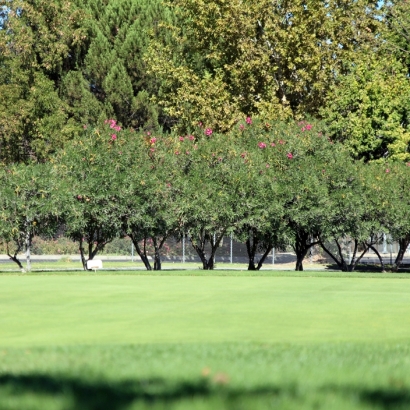 Putting Greens & Synthetic Lawn in Frontenac, Kansas