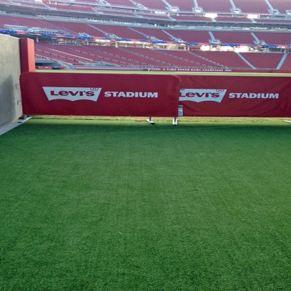 Artificial Turf in Montgomery County, Kansas