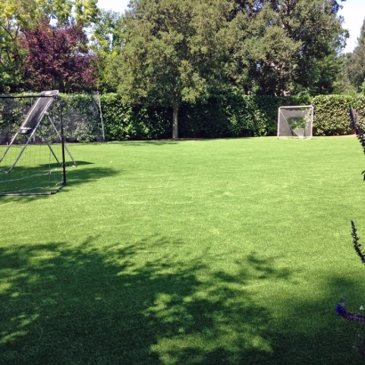 Artificial Turf in Morris County, Kansas