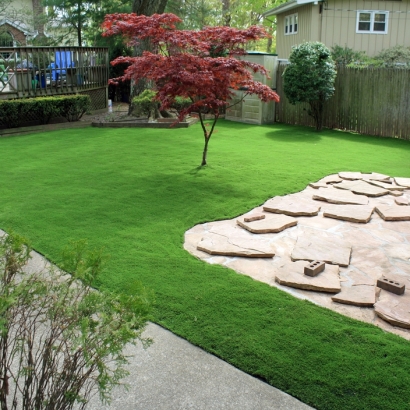 Synthetic Grass in Bartlett, Kansas