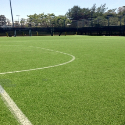 Plastic Grass Elk Falls, Kansas High School Sports