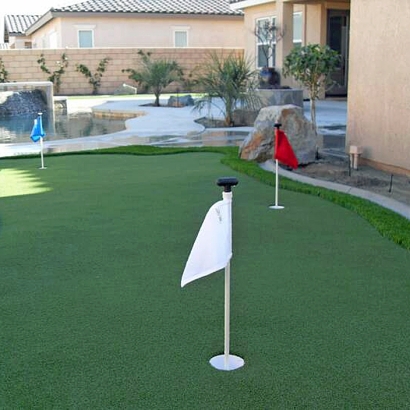 Plastic Grass Grenola, Kansas Best Indoor Putting Green, Backyard Makeover