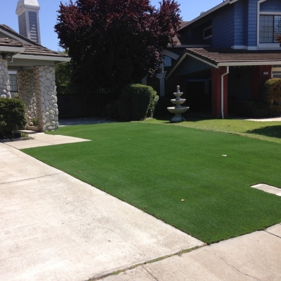 Artificial Turf in New Cambria, Kansas