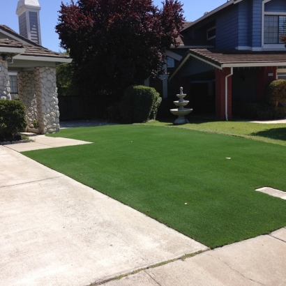 Synthetic Turf in Solomon, Kansas