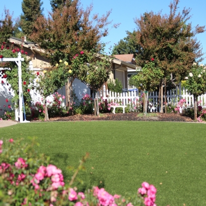 Synthetic Turf in Overland Park, Kansas