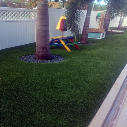 Plastic Grass Quinter, Kansas Landscape Ideas, Backyard Garden Ideas