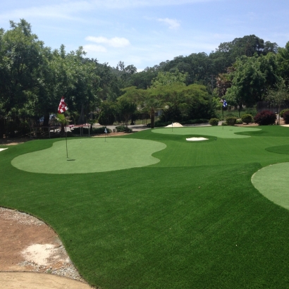 Synthetic Grass Benedict, Kansas Outdoor Putting Green, Front Yard