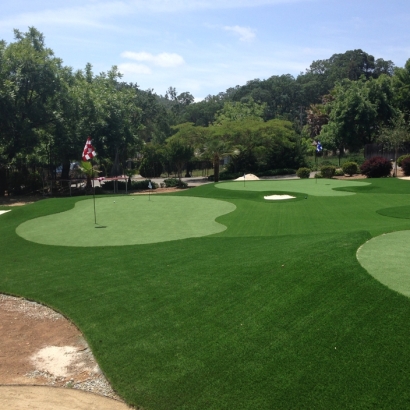 Artificial Grass in Benedict, Kansas