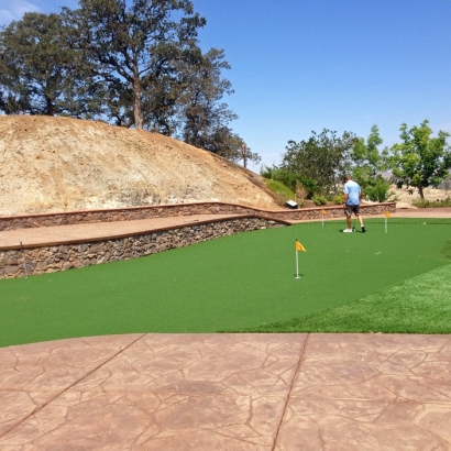 Synthetic Turf in Ford, Kansas