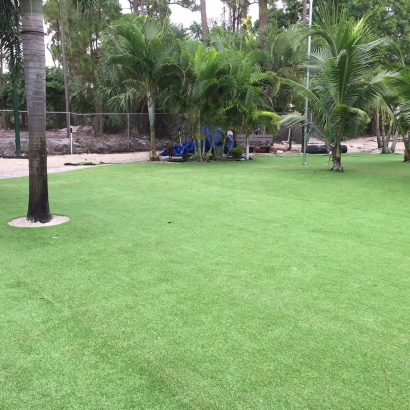 Synthetic Grass Cost Caney, Kansas Gardeners, Commercial Landscape