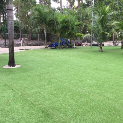 Artificial Turf in Montgomery County, Kansas