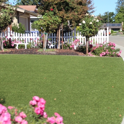 Backyard Putting Greens & Synthetic Lawn in De Soto, Kansas