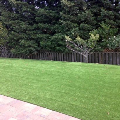 Fake Grass & Putting Greens in Holton, Kansas