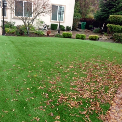 Artificial Turf in Liberal, Kansas