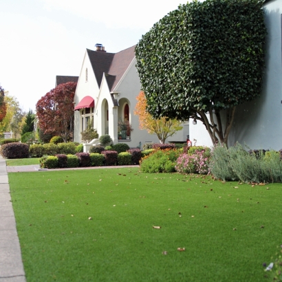 Artificial Turf in Newton, Kansas