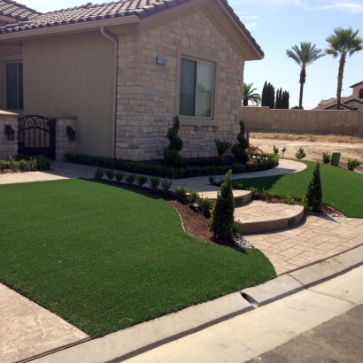 Artificial Grass in Raymond, Kansas