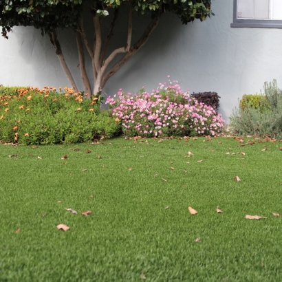 Synthetic Grass Cost Sawyer, Kansas Landscape Design, Front Yard