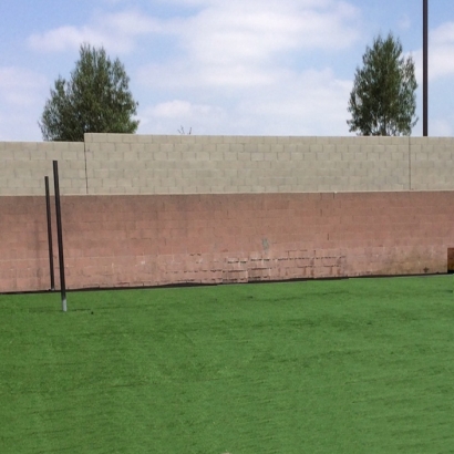 Artificial Grass in Wakarusa, Kansas