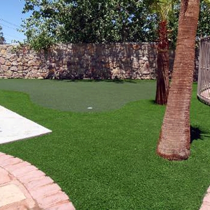 Synthetic Grass Girard, Kansas Gardeners, Backyard Landscaping