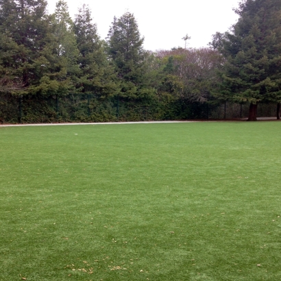 Artificial Turf in Munjor, Kansas