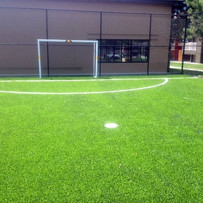 Backyard Putting Greens & Synthetic Lawn in Prairie View, Kansas