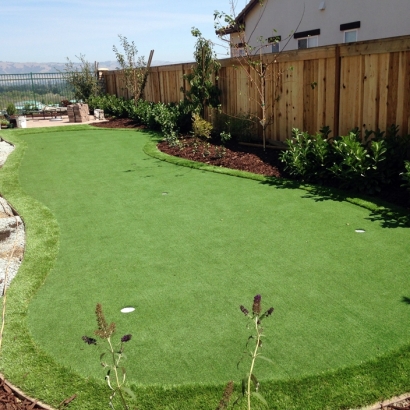 Synthetic Grass Spearville, Kansas Office Putting Green, Backyard Landscaping