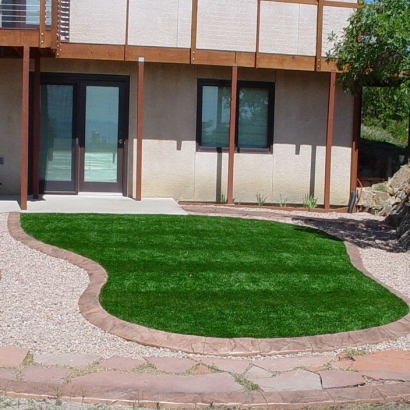 Synthetic Lawn Buhler, Kansas Design Ideas, Front Yard Landscaping Ideas