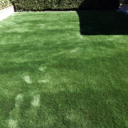 Synthetic Lawn Damar, Kansas Design Ideas, Backyard Designs