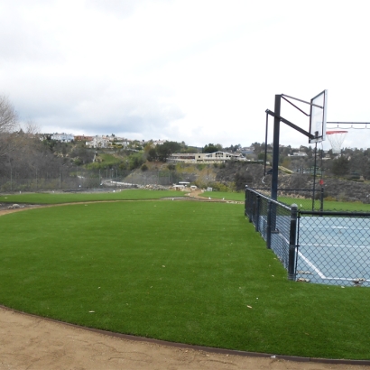 Synthetic Turf in Harvey County, Kansas