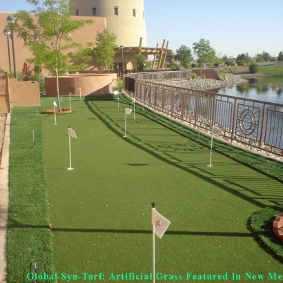 Synthetic Lawn Park City, Kansas Putting Green Grass, Backyard Designs