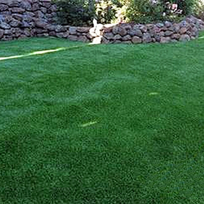 Synthetic Lawn Protection, Kansas Artificial Turf For Dogs, Backyard Garden Ideas