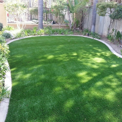 Synthetic Turf in Solomon, Kansas