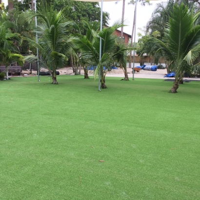 Artificial Grass in Altoona, Kansas