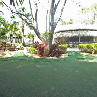 Synthetic Turf Andover, Kansas Backyard Playground, Commercial Landscape