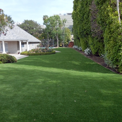 Synthetic Turf Burdett, Kansas Grass For Dogs, Front Yard Landscaping Ideas