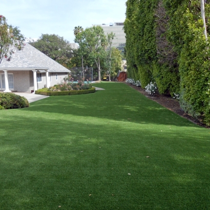 Rozel, Kansas Grass Artificial