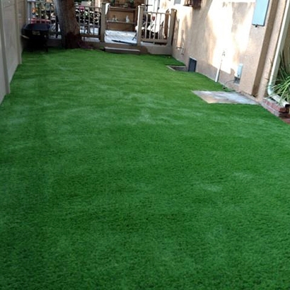 Synthetic Turf Coolidge, Kansas Roof Top, Backyard Landscape Ideas