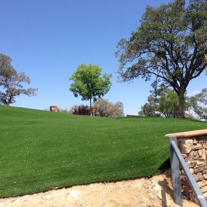 Synthetic Turf Elk City, Kansas Home And Garden, Landscaping Ideas For Front Yard