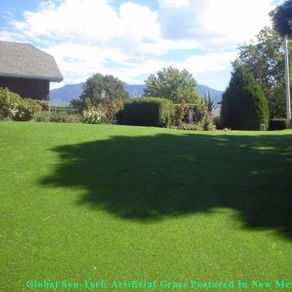 Synthetic Turf Maize, Kansas Lawns, Backyard Garden Ideas