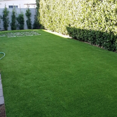 Synthetic Turf Perry, Kansas Fake Grass For Dogs, Backyard Makeover