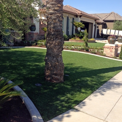 Synthetic Turf in Sharon, Kansas