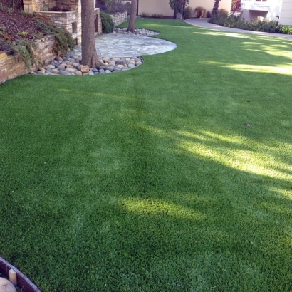 Artificial Grass in Lake Quivira, Kansas