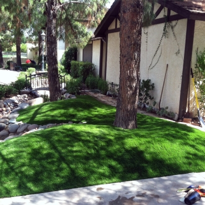 Synthetic Turf: Resources in Spivey, Kansas
