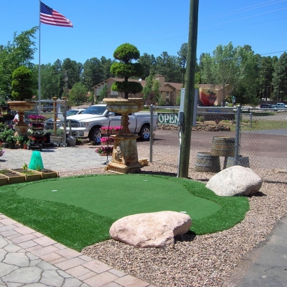 Synthetic Grass in Chanute, Kansas
