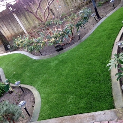 Synthetic Turf Supplier Elk Falls, Kansas Backyard Playground, Backyard Landscaping