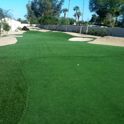 Artificial Grass in Wyandotte County, Kansas