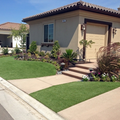 Synthetic Grass in Sawyer, Kansas